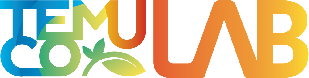 Logo temuco Lab